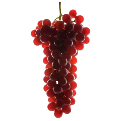 Imagen PNG para descargar